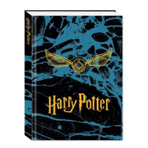 Diario Harry Potter 2023/24 10 mesi Imbottito Boccino Blu 15x20.5cm