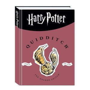 Diario Harry Potter 2023/24 10 mesi Imbottito Quidditch Mattone 15x20.5cm