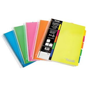 Quaderno Spiralato Mybook con 5 divisori 100 fogli 4 fori A4 4 MM Colori Assortiti su linait