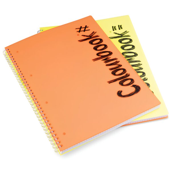 Quaderno Spiralato A4 4 Fori Doppia Rigatura 1 Rigo 5 MM Colori assortiti su linait