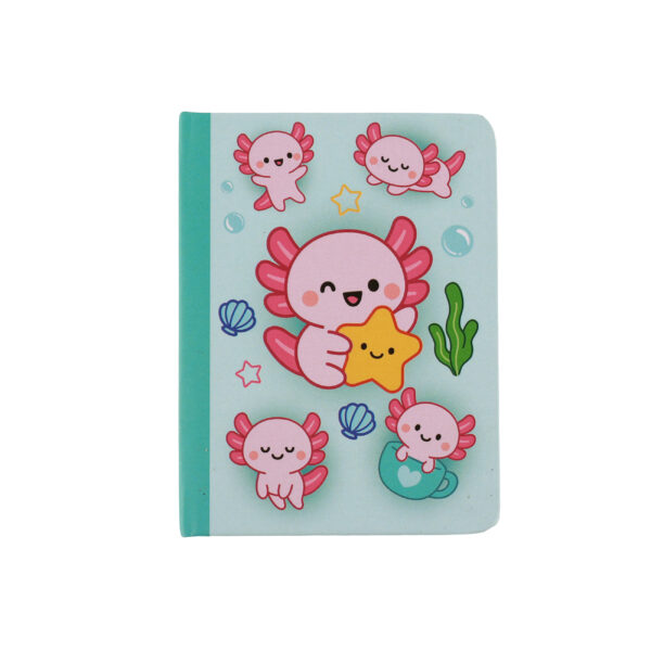 Mini Notebooks Axolutely su linait