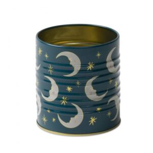 Designworks Storage Tin Portapenne Teal Moon
