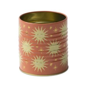Designworks Storage Tin Portapenne Terracotta Sun