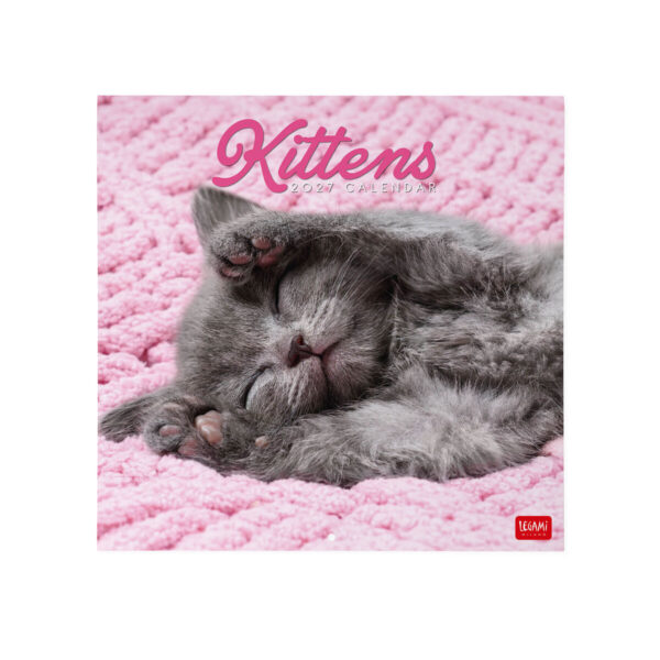 Calendario Da Parete Grande 12 Mesi Legami 2027 30x29 cm Kittens su linait