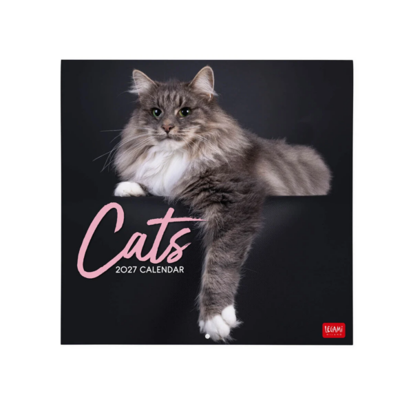 Calendario Da Parete Grande 12 Mesi Legami 2027 30x29 cm Cats su linait