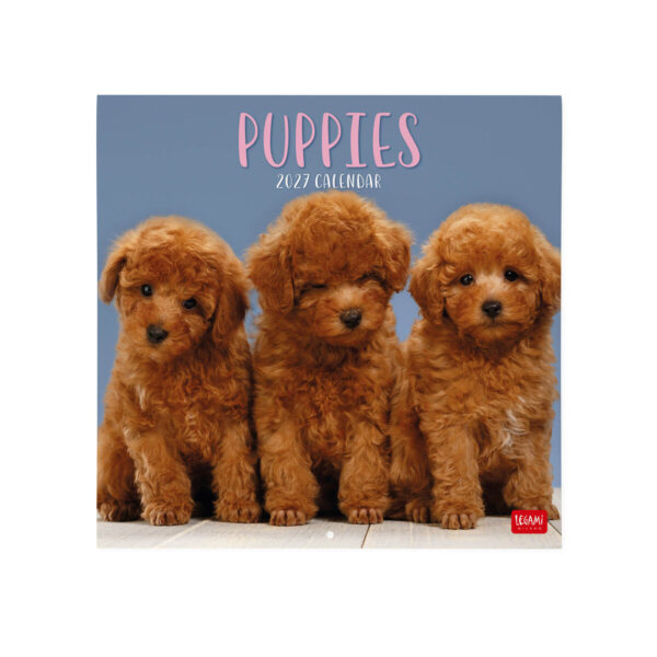 Calendario Da Parete Grande 12 Mesi Legami 2027 30x29 cm Puppies su linait