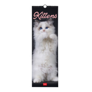 Calendario Da Parete 12 Mesi Legami 2027 16x49 cm Kittens su linait